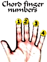 Chord finger numbers